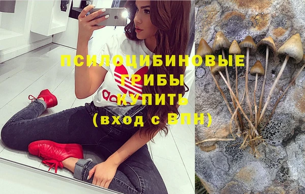 скорость Алексин