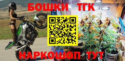 гашик Краснознаменск