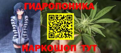 бошки Краснодар