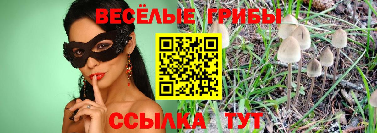 Галлюциногенные грибы Cubensis  Вход с VPN  Зеленодольск  Галлюциногенные грибы Psilocybine cubensis 