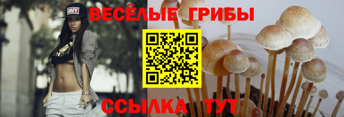 Псилоцибиновые грибы прущие грибы Зеленодольск
